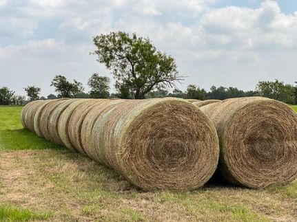 Farm Property for sale in Robertson County, Texas