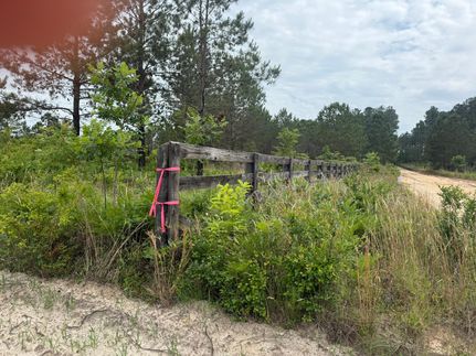 Undeveloped Land for sale in Aiken County, South Carolina