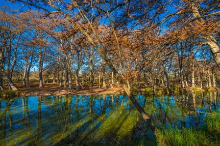 Farm Property for sale in Real County, Texas