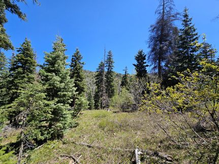 Ranch Property in Sanpete County, Utah