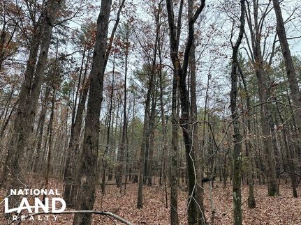 Farm Property in Hardin County, Tennessee
