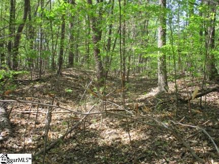 Property in Oconee County, South Carolina