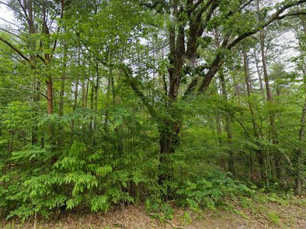 Undeveloped Land for sale in Lauderdale County, Alabama
