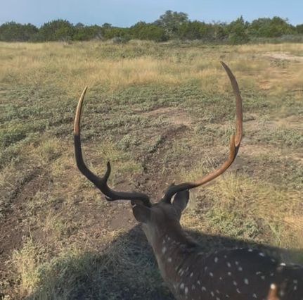 Residential Property for sale in Kerr County, Texas