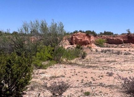 Farm Property for sale in Coke County, Texas