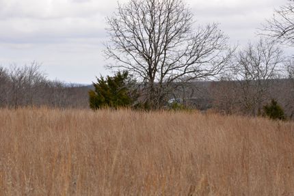 Undeveloped Land for sale in McIntosh County, Oklahoma