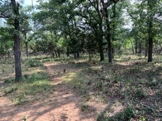 Hunting Land for sale in Gillespie County, Texas