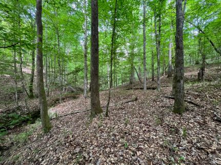 Recreational Property for sale in Crenshaw County, Alabama
