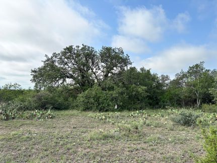 Recreational Property for sale in McCulloch County, Texas