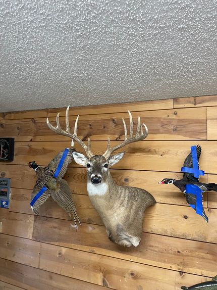 Ranch Property in Pratt County, Kansas