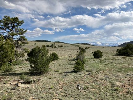 Farm Property for sale in Custer County, Colorado