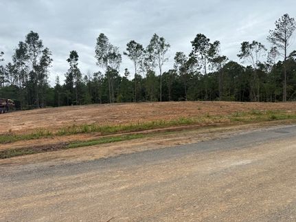 Timberland Property for sale in Lamar County, Alabama