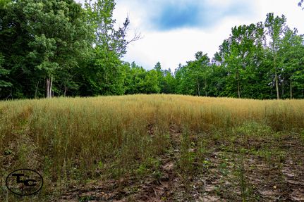 Farm Property for sale in Chester County, Tennessee