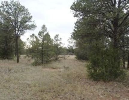 Property for sale in Cibola County, New Mexico