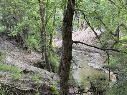 Undeveloped Land for sale in Titus County, Texas