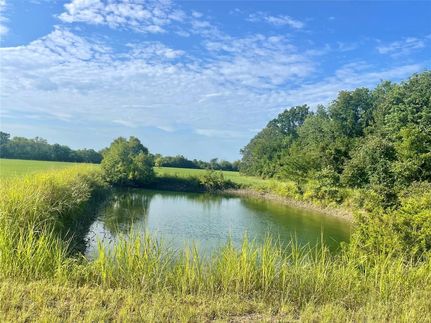 Undeveloped Land in Red River County, Texas