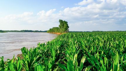 Riverfront Property for sale in McCurtain County, Oklahoma