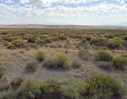 Undeveloped Land for sale in Elko County, Nevada