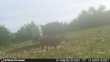 Ranch Property in Edwards County, Texas