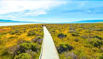 Residential Property for sale in San Luis Obispo County, California