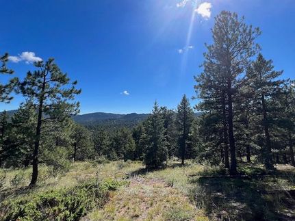 Hunting Land for sale in Jefferson County, Colorado
