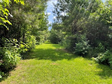 Ranch Property for sale in Walthall County, Mississippi
