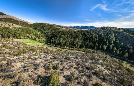 Timberland Property for sale in Beaverhead County, Montana