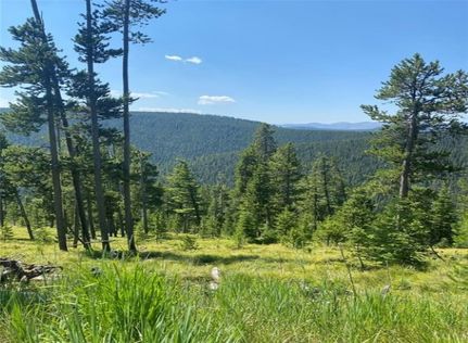 Farm Property for sale in Granite County, Montana