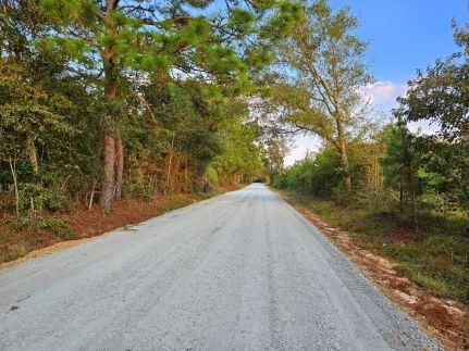 Ranch Property for sale in Dodge County, Georgia