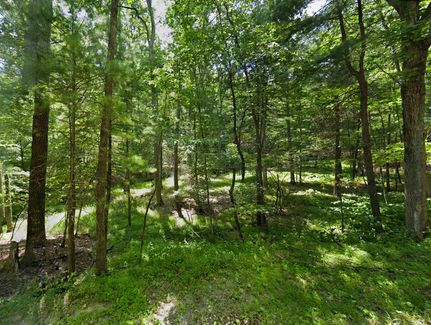 Timberland Property for sale in Hampshire County, West Virginia