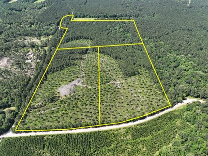 Farm Property in Trinity County, Texas