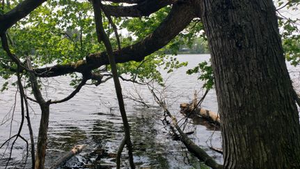 Residential Property for sale in Monroe County, Wisconsin