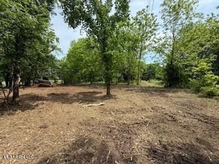 Farm Property for sale in Marshall County, Mississippi