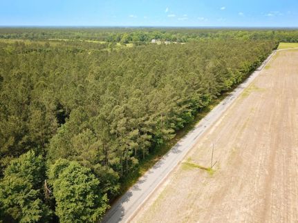 Hunting Land in Sussex County, Virginia
