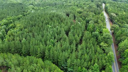 Undeveloped Land for sale in Tallapoosa County, Alabama