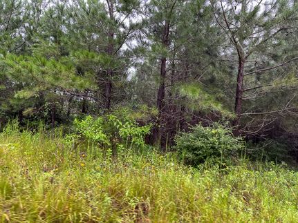 Residential Property for sale in Houston County, Texas