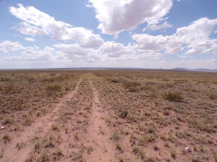 Ranch Property in Navajo County, Arizona