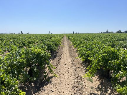 Property for sale in Fresno County, California