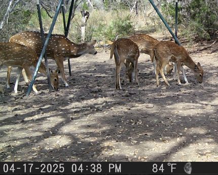 Hunting Land for sale in Edwards County, Texas