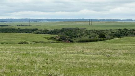 Undeveloped Land for sale in Douglas County, Colorado