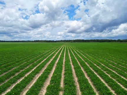 Farm Property for sale in Gadsden County, Florida