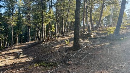 Farm Property for sale in Teller County, Colorado