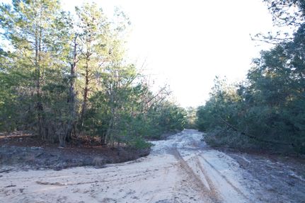 Farm Property for sale in Putnam County, Florida
