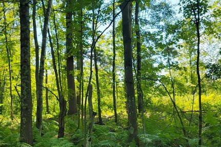Recreational Property in Dunn County, Wisconsin