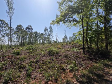 Undeveloped Land for sale in Prentiss County, Mississippi