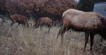 Property for sale in Real County, Texas