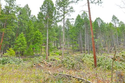 Horse Property for sale in Douglas County, Colorado