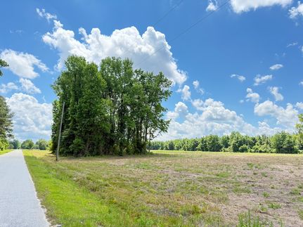 Undeveloped Land in Dillon County, South Carolina