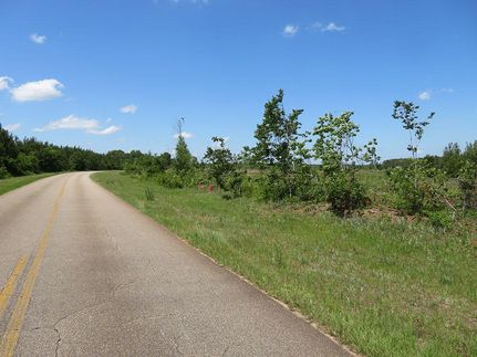 Property for sale in Schley County, Georgia