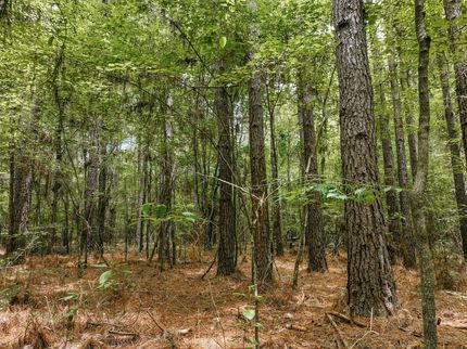 Farm Property for sale in Drew County, Arkansas